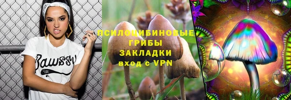 бутират Алексеевка